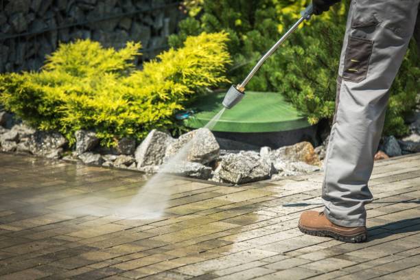 Trusted Rush City, MN Pressure Washing Services Experts