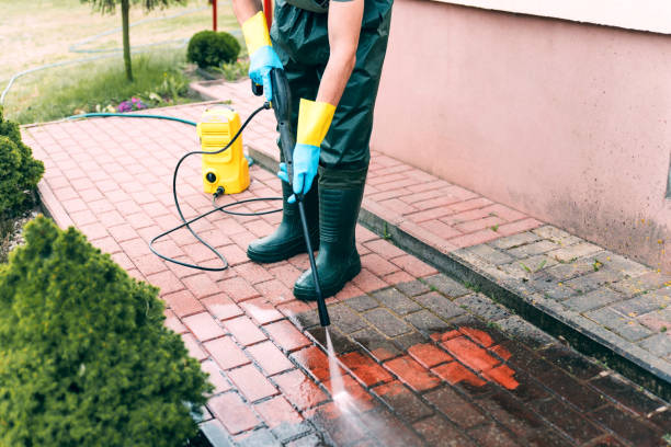 Best Warehouse Cleaning  in Rush City, MN