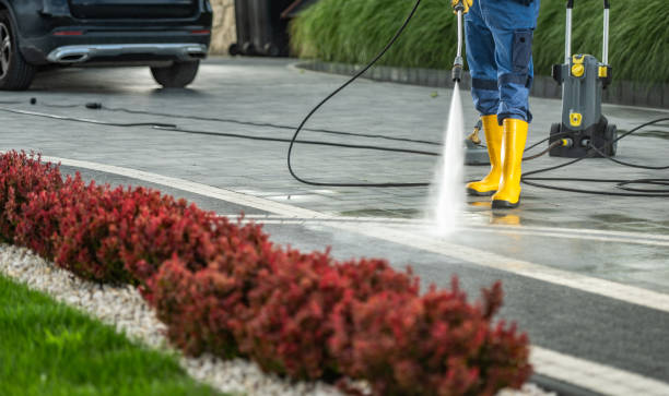 Animal Enclosure Cleaning in Rush City, MN